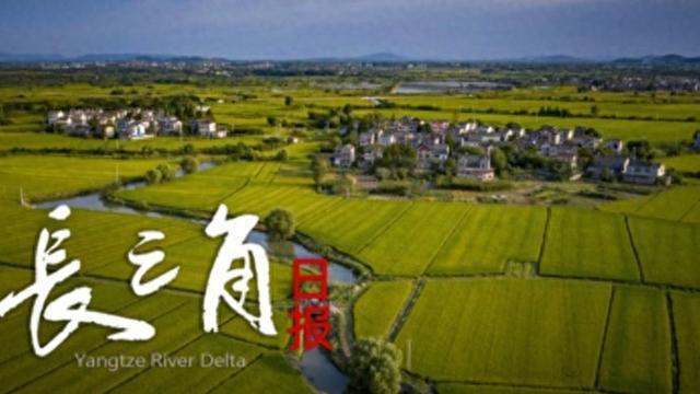 银河娱乐城官方入口-“苏超”赛场“气晕”的小恐龙有IP文创了